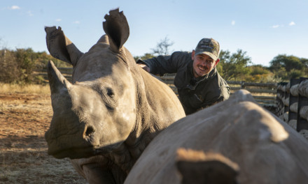 Help Quinton de Kock protect the Rhino