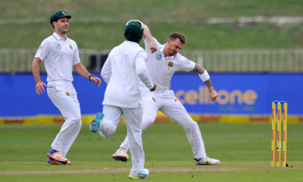 Long Live the Steyn Remover