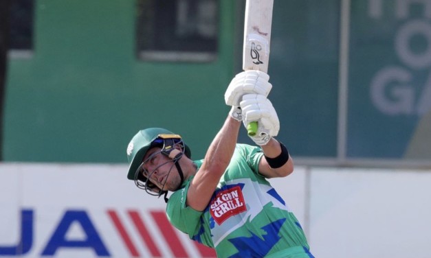 Jean Du Plessis, Heath Richards light up T20 Cup stage