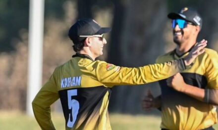 Boland reach home CSA T20 Challenge final