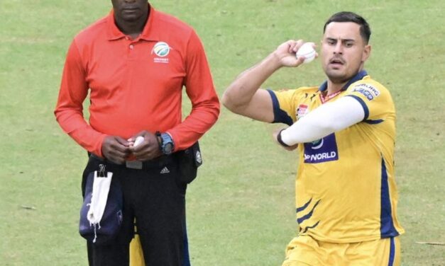 Lions, Swanepoel part ways